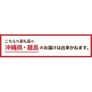 ふるさと納税 キャリー型浄水器 山梨県忍野村の詳細画像4