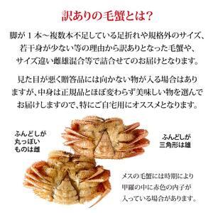 ふるさと納税 毛ガニ 毛蟹 訳あり 4?8匹 ...の詳細画像4