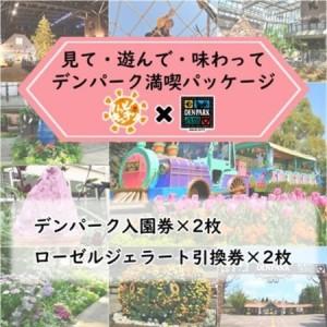 ふるさと納税 デンパーク入園券2枚＋ローゼルジェラート引換券2枚/愛知県安城市【1686737】 愛...