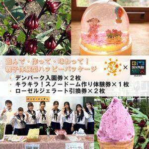 ふるさと納税 デンパーク入園券2枚＋ローゼルジェラート引換券2枚＋スノードーム作り体験券1枚/愛知県...