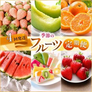ふるさと納税 【 定期便4回 】 熊本 人気 フルーツ | 果物 白いちご 淡雪 不知火 デコポン みかん いちご イチゴ メロン すいか スイカ アイス .. 熊本県玉名市
