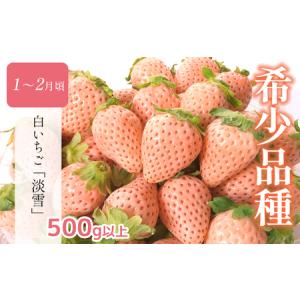 ふるさと納税 【 定期便4回 】 熊本 人気 ...の詳細画像2