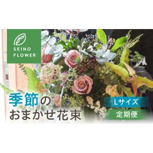 ふるさと納税 季節のお花 西濃フラワー 定期便 3回 Lサイズ 岐阜県大垣市