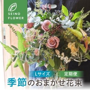 ふるさと納税 季節のお花 西濃フラワー 定期便 12回　 Lサイズ 岐阜県大垣市