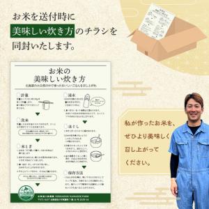 ふるさと納税 ZIP!で紹介!令和7年産 なな...の詳細画像4