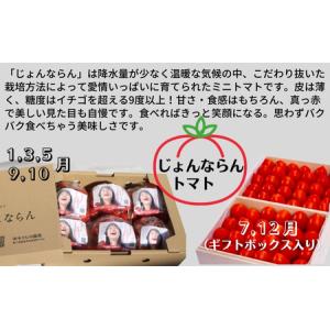 ふるさと納税 モリヒロ園芸が育てたお花とトマト...の詳細画像1