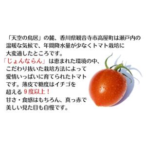 ふるさと納税 定期便 モリヒロ園芸が育てたじょ...の詳細画像1