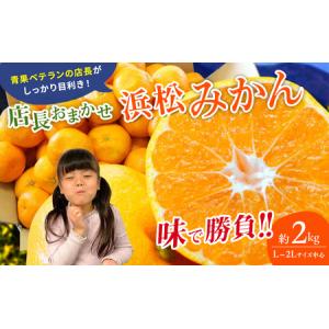 ふるさと納税 【訳あり】店長おまかせ浜松みかん 約2kg サイズL〜2L ミカン 蜜柑 フルーツ  みかん ミカン 三ヶ日 みかん 蜜柑 糖度 静岡 浜松市 静岡県浜松市｜ふるなび(ふるさと納税)