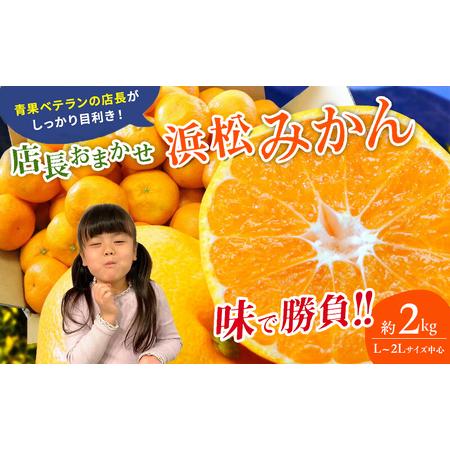 ふるさと納税 【訳あり】店長おまかせ浜松みかん 約2kg サイズL〜2L ミカン 蜜柑 フルーツ  ...