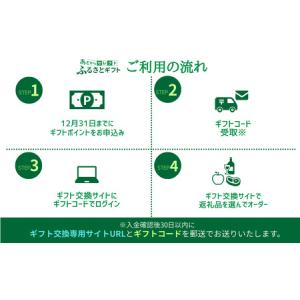 ふるさと納税 あとからセレクト 【ふるさとギフ...の詳細画像2