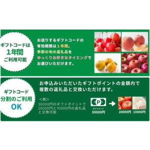 ふるさと納税 あとからセレクト 【ふるさとギフ...の詳細画像3