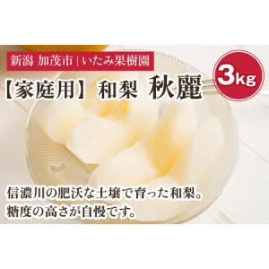 ふるさと納税 【2026年先行予約】【家庭用】新潟県産 秋麗梨 3kg（7〜11玉）《8月中旬以降発送》 和梨 なし ナシ 果物 しゅうれい フルーツ 新潟.. 新潟県加茂市