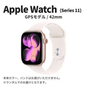 ふるさと納税 【数量限定】Apple Watch Series11 42mm GPSモデル 宮城県仙...