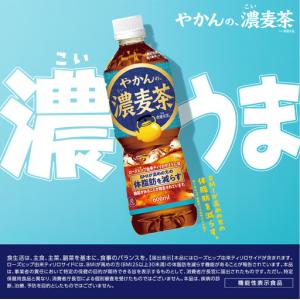 ふるさと納税 【3ヶ月定期便】【機能性】やかん...の詳細画像1