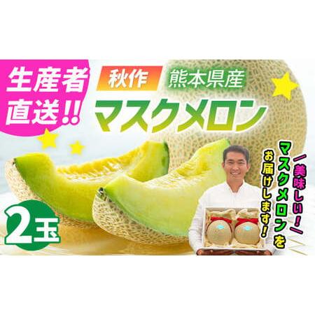 ふるさと納税 【生産者直送】☆秋作☆ マスクメロン 2玉 合計約3kg以上 【2026年10月上旬発...