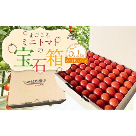 ふるさと納税 まごころ ミニトマト の宝石箱 1.7kg(約80〜110玉)×3箱 計5.1kg サ...