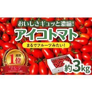 ふるさと納税 【完熟 ミニトマト】アイコトマト 約 3kg 南島原市 / 長崎県農産品流通合同会社[SCB052] / トマト トマト トマト トマト トマト .. 長崎県南島原市｜furunavi