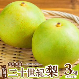 ふるさと納税 1265.【2026年度発送先行予約】訳あり　二十世紀梨　3kg 鳥取県北栄町