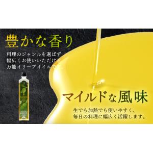 ふるさと納税 【年6回お届け】オリーブオイル ...の詳細画像1