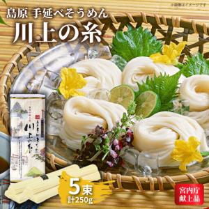 ふるさと納税 【宮内庁献上品】島原手延べそうめん 川上の糸 250g1袋（50g×5束） [SCM028] そうめん 長崎県南島原市