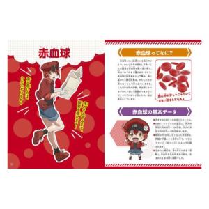 ふるさと納税 【講談社おはなし隊セレクト】はた...の詳細画像1