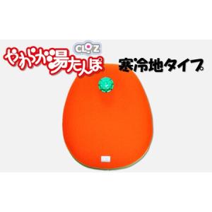 ふるさと納税 クロッツやわらか湯たんぽ 寒冷地タイプ_2645R 大分県国東市