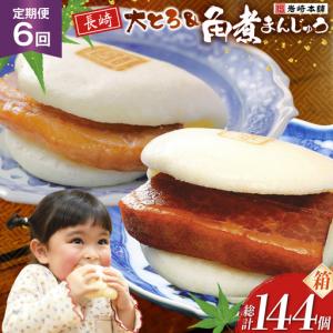 ふるさと納税 BJ089 岩崎本舗 【6回定期便】長崎角煮まんじゅう 12個入・大とろ角煮まんじゅう12個入 (箱) 長崎県島原市