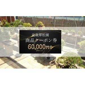 ふるさと納税 盆栽 翠松園 商品クーポン券 60,000円分 植物 観葉植物 園芸 商品券 兵庫県 兵庫県加西市