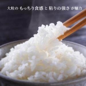 ふるさと納税 ＼スピード出荷/ にじのきらめき...の詳細画像1