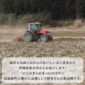 ふるさと納税 ＼スピード出荷/ にじのきらめき...の詳細画像2