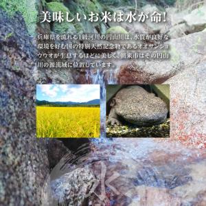 ふるさと納税 無洗米【定期便3回】にじのきらめ...の詳細画像2