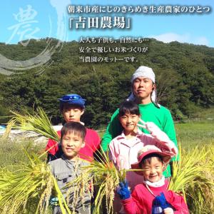 ふるさと納税 無洗米【定期便3回】にじのきらめ...の詳細画像4