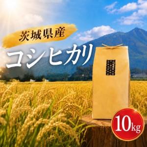 ふるさと納税 コシヒカリ 10kg 精米 令和7年産 こしひかり 茨城県筑西市