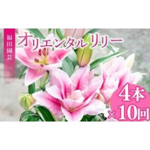 ふるさと納税 ユリ(オリエンタルリリー)4本 10ヶ月定期便【ユリ】 高知県安芸市