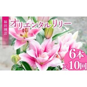 ふるさと納税 ユリ(オリエンタルリリー)6本 10ヶ月定期便【ユリ】 高知県安芸市
