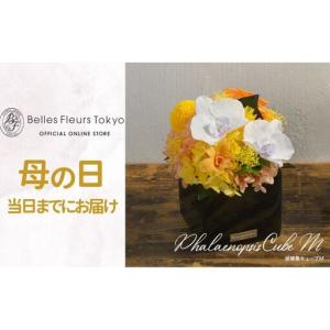 ふるさと納税 花 プリザーブドフラワー 胡蝶蘭...の詳細画像1