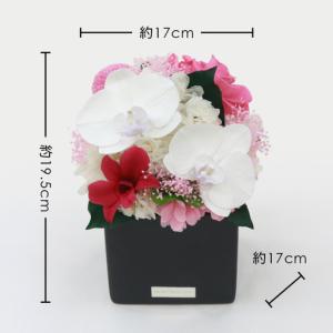 ふるさと納税 花 プリザーブドフラワー 胡蝶蘭...の詳細画像2