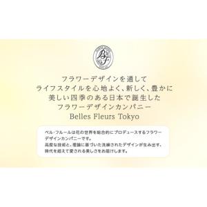 ふるさと納税 花 プリザーブドフラワー 胡蝶蘭...の詳細画像3