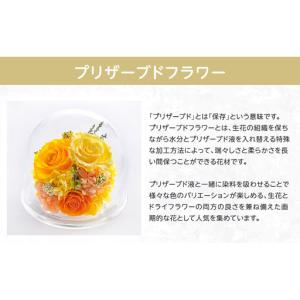 ふるさと納税 花 プリザーブドフラワー 胡蝶蘭...の詳細画像4