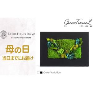 ふるさと納税 プリザーブドフラワー グリーンフ...の詳細画像1