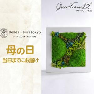 ふるさと納税 プリザーブドフラワー グリーンフ...の詳細画像1