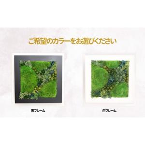 ふるさと納税 プリザーブドフラワー グリーンフ...の詳細画像2