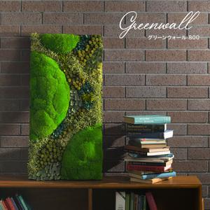 ふるさと納税 グリーンウォール800 花 お花 プリザーブドフラワー ギフト プレゼント お祝い 誕...