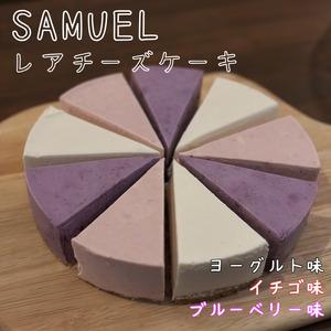 ふるさと納税 レアチーズケーキ SAMUEL アソート スイーツ 個包装 レアチーズケーキ 東京都墨田区