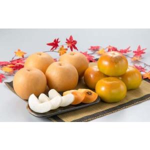 ふるさと納税 熊本県産 秋の梨・太秋柿セット 各3〜4玉 合計6〜8玉 【2026年10月上旬発送開始】 果物 フルーツ 梨 なし 柿 かき 旬 旬のフルーツ 熊本県