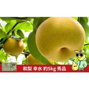 ふるさと納税 先行予約 和梨 幸水 約5kg 秀品 令和8年度 冷蔵 新潟フルーツ 新潟県産 梨 [三条ファームWIN] 新潟県三条市