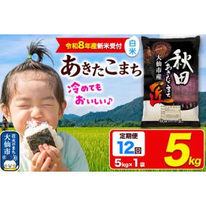 ふるさと納税 ＜令和8年産 新米受付＞《定期便12ヶ月》米 あきたこまち【白米】5kg 秋田県大仙市産 精米 令和8年産 秋田県大仙市