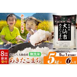 ふるさと納税 《令和8年産 新米受付》《定期便6ヶ月》あきたこまち【無洗米】米どころ秋田県大仙市産 あきたこまち5kg（5kg×1袋） 秋田県大仙市