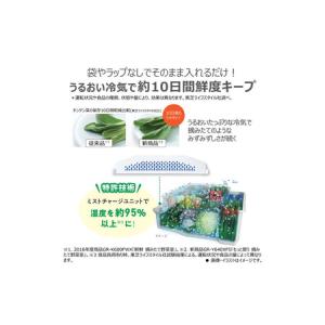ふるさと納税 東芝 冷蔵庫 【標準設置費込み】...の詳細画像3