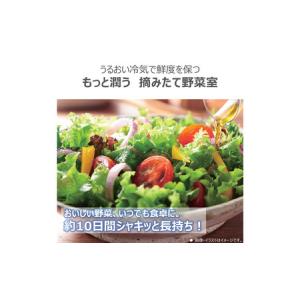 ふるさと納税 東芝 冷蔵庫 【標準設置費込み】...の詳細画像2